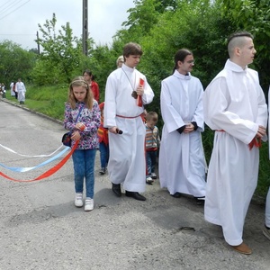 Boże Ciało 26.05.2016 - 74
